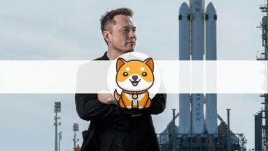 NeuerBabyDogesteigtzu%nachElonMusksneuestenTweetsindieHöhe