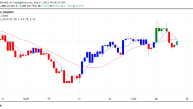 Neueste Entwicklungen in Solana (SOL): ein Überblick
