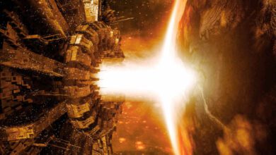 ObskurerAltcoinbricht%nachplötzlichemKrypto AusrufvonElonMuskaus