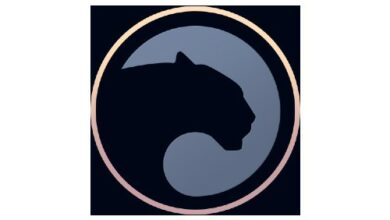 Panther Protocol arbeitet mit VegaSwap zusammen