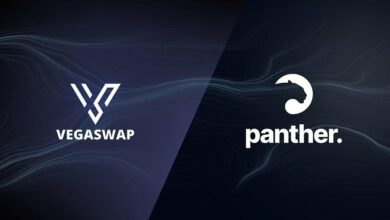 Panther Protocol geht Partnerschaft mit Vegaswap ein
