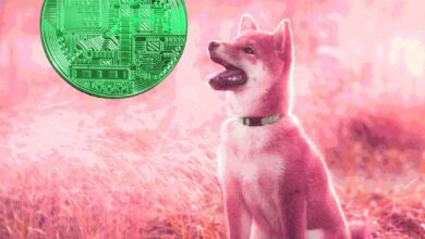 Robinhoodsagt,dassDogecoineinengroßenTeilderKrypto Einnahmengeneriert,undwarntvorMarktvolatilität