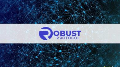 Robustes Protokoll: Einführung eines hyperdeflationären Tokens