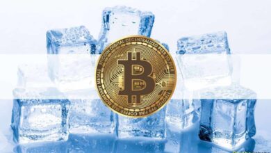 RuneerholtsichtrotzdesjüngstenHacksum%(Marktbeobachtung)