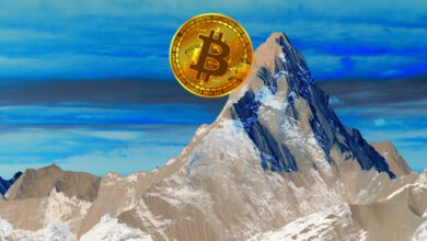 ScottMinerdvonGuggenheimwägtdenZustandvonBitcoinab,währendsichBTCder. Dollar Markenähert