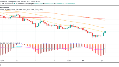 Shiba Inu (SHIB) erholt sich nach dem Ausverkauf am Dienstag Aber ist die Stärke vorübergehend?