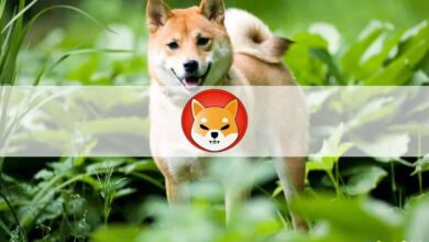 ShibaInusneueingeführterShibaSwapDEXexplodiertmit,MilliardenUS DollarTVLinwenigeralsTagen