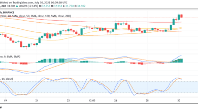 Solana (SOL) sieht eine zunehmende Akzeptanz von Technologie bei Projekten