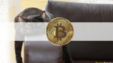VolumenundInteressesinken,daBitcoinimmernochunter.US Dollarliegt:DiewöchentlicheKrypto Zusammenfassung