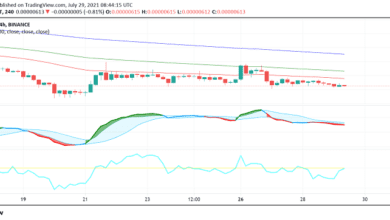Wann wird sich der Abstieg in Shiba Inu (SHIB) umkehren?