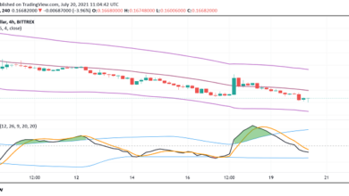 Was passiert in letzter Zeit mit Dogecoin (DOGE)?