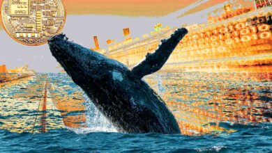 Whale sagt, dass der Sektor der Kryptomärkte „massiven Rabatt“ hat, und gibt Preiswarnung an andere Händler aus
