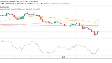 WirddiebevorstehendeShibaInuPartydenSHIB Preisnachobentreiben?