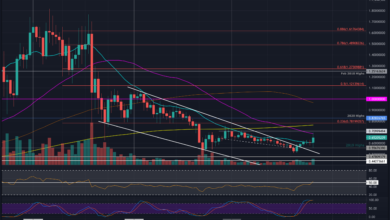 XRPsteigttäglichum%,siehtsichjedochkritischerUnterstützunggegenBitcoingegenüber