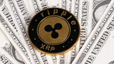 XRP/USDum,%gefallen,$AusblickGrim