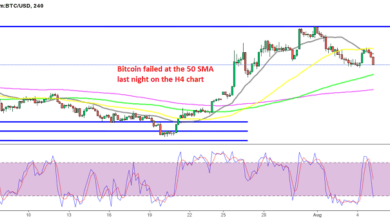 Nein, der Trend ist bei Kryptos noch nicht bullisch geworden, da Bitcoin und Cardano wieder nach unten kehren