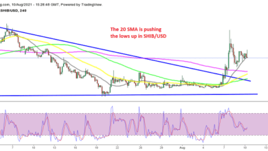MAs haben sich in Unterstützung für Shiba Inu verwandelt, was auf eine Trendumkehr bei SHIB/USD hindeutet