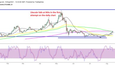 Litecoin LTC besteht den ersten echten Test nicht, da sich Cryptos zurückziehen