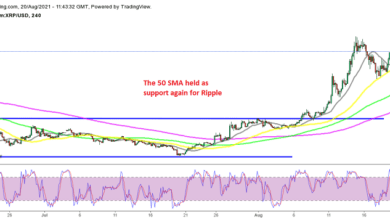 MehrZeichenderStärkeinRippleXRP,daessichnachobenumkehrt,wiederüber,