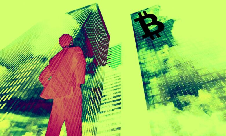 Unternehmen stehen hinter Krypto, während Bitcoin 50.000 US-Dollar zurückfordert – eToro Crypto Roundup, Krypto News Aktuell