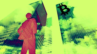 UnternehmenstehenhinterKrypto,währendBitcoin.US Dollarzurückfordert–eToroCryptoRoundup