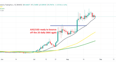 KauftjemandAxieInfinityvordemnächstenSprungvomDailySMA?