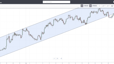 Tezosplatzt,währendBitcoingegen.US Dollardrückt–eToroCryptoRoundup
