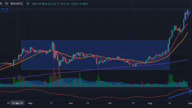 Explosives Momentum für Solana (SOL): Kann ich noch mitfahren oder ist es zu spät?