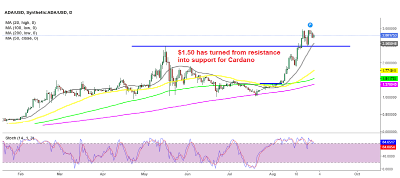 Cardano ADA Bereit für den nächsten Schub nach oben mit diesem starken bullischen Momentum?