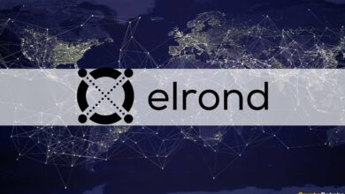 ,MillionenUS DollarimRahmenvonCommunity TestsfürMaiar,dieneuedezentraleBörsevonElrondNetwork