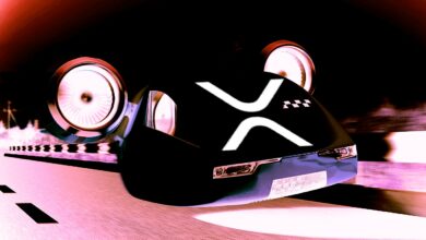 %XRP RallyekönntelautTop Krypto AnalystgleichumdieEckesein