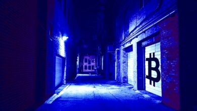 ..US DollarinBitcoinvonderbrasilianischenPolizeibeiderUntersuchungdesPonzi Systemsbeschlagnahmt