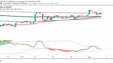 ADA/USD Handels Update:CardanosAlonzoMainnet Startverzögertsich?