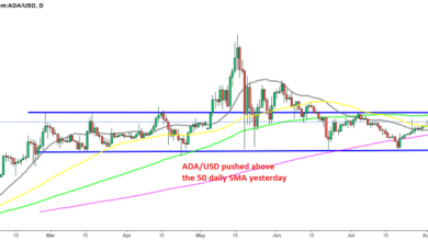 Alonzo hält die Stimmung für Cardano ADA optimistisch, da es an Gewinnen festhält, während Kryptos nach unten fallen