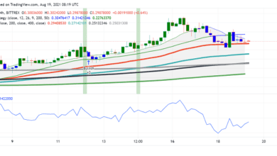 Anleger, die mehr an Dogecoin (DOGE) interessiert sind: Hier ist der Beweis