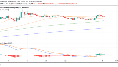 AxieInfinitynähertsichMilliontäglichaktivenSpielernunderzieltimJulihöhereEinnahmenalsgroßeNamen