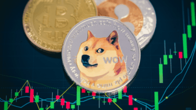 BTC,XRPundDOGEsteigenjeweilsummehrals%