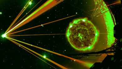 Beliebter Analyst nennt Altcoin mit dem größten zu erfassenden Gewinn und enthüllt Prognosen für Bitcoin, Solana und Terra