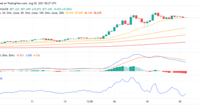 Bereitet sich Solana (SOL) auf einen weiteren Versuch bei ATH vor?