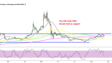 BietetderDailySMAeineKaufgelegenheitfürBitcoinCashBCH?