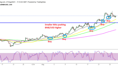 Binance coin progressing higher unbothered