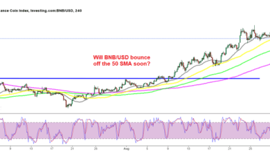 Binance coin about to resume the bullish trend again?