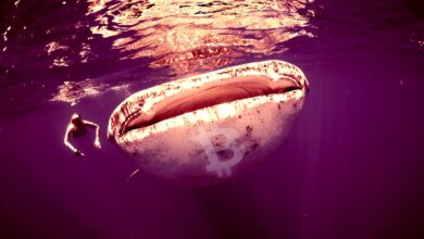 BitcoinWhalebewegtabrupt$..inBTC–Hiergehteshin