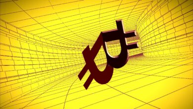 Bitcoin undKrypto MärktebraucheneinegesundeKorrektur,sagtAnalystMichaëlvandePoppe