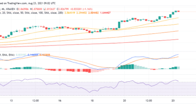 Cardano(ADA)aufdemWegzu$:$inSicht?