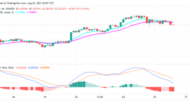Cardano(ADA)siehteinenPullbackalsOptimismusbeiKrypto Markteinbrüchen