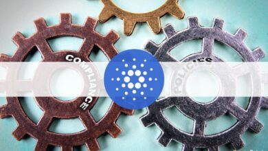 Cardano Foundation implementiert AML Analytics