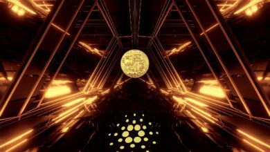 CardanoTestnetunterstütztjetztSmartContractsmitderEinführungdeskritischenAlonzo Updates