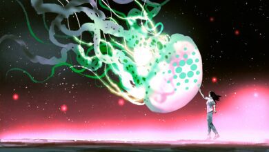 CardanokönntelautKrypto HändlerMichaëlvandePoppezudiesemwahnsinnigenPreisindieHöheschnellen