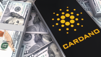 CardanostrebteinneuesHochvon,USDan